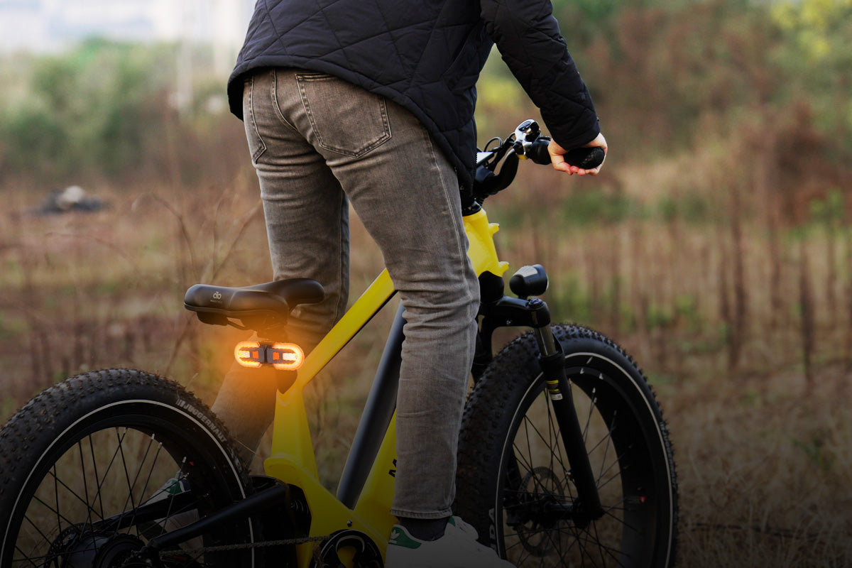 Touroll Fanale posteriore bici LED con frecce wireless