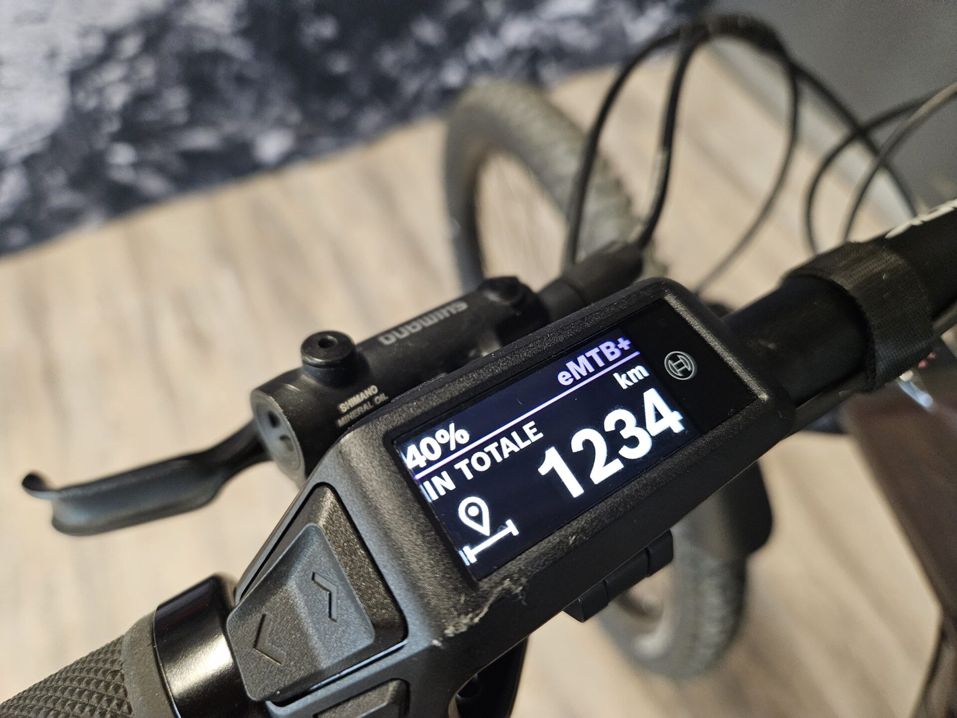THOK TP4 e-bike usata ricondizionata taglia L carbonio