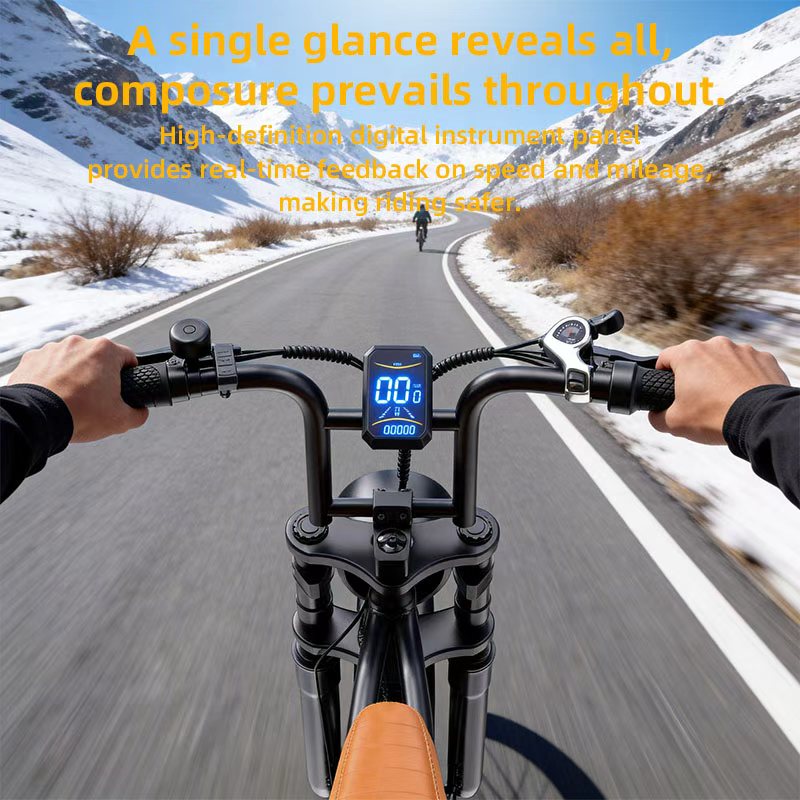 E-BYCCO G20 fat bike elettrica 20" 48V 800W neve