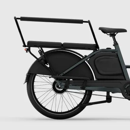 Tenways Family Seggiolino bici bambino posteriore