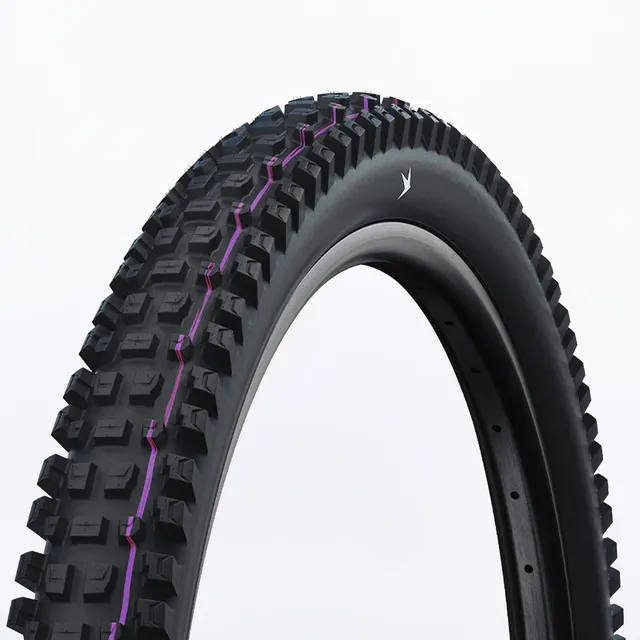 Schwalbe Albert Gravity Pro pneumatico 29x2.6