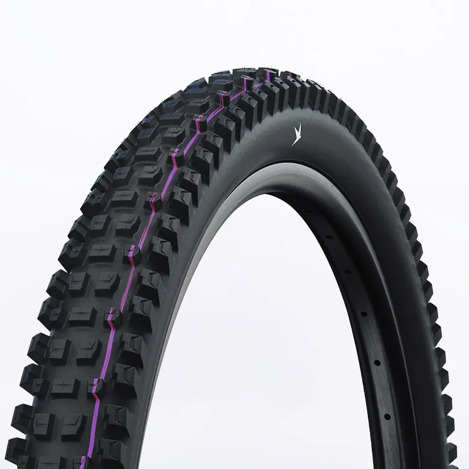 Schwalbe Albert Gravity Pro pneumatico 29x2.6