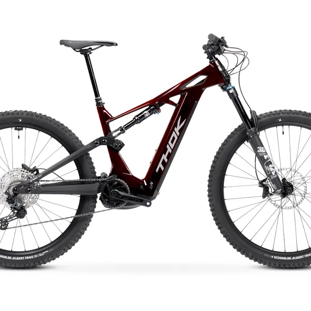 THOK TP4 e-bike usata ricondizionata taglia L carbonio