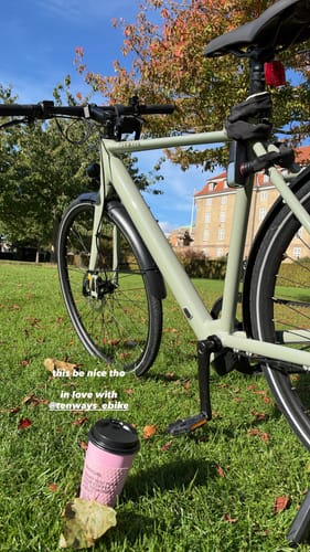 Tenways CGO600 bici elettrica 15 kg cinghia carbonio