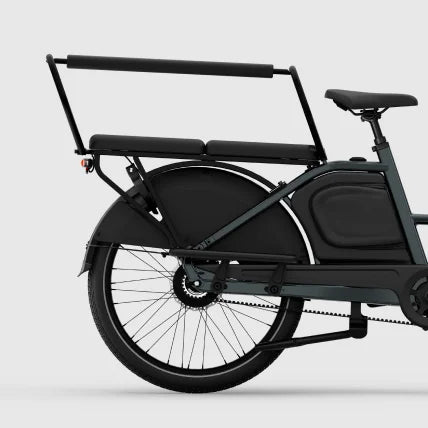 Tenways Family Seggiolino bici bambino posteriore