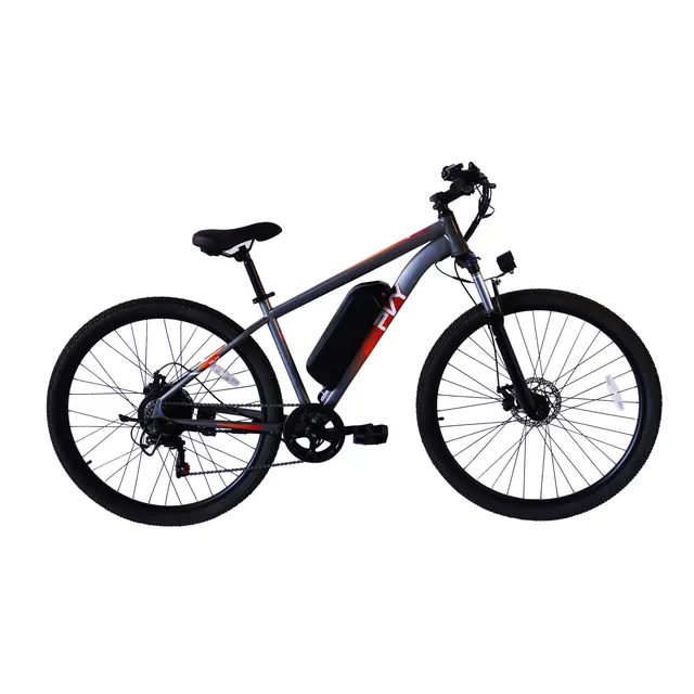 PVY M29 bici elettrica da avventura