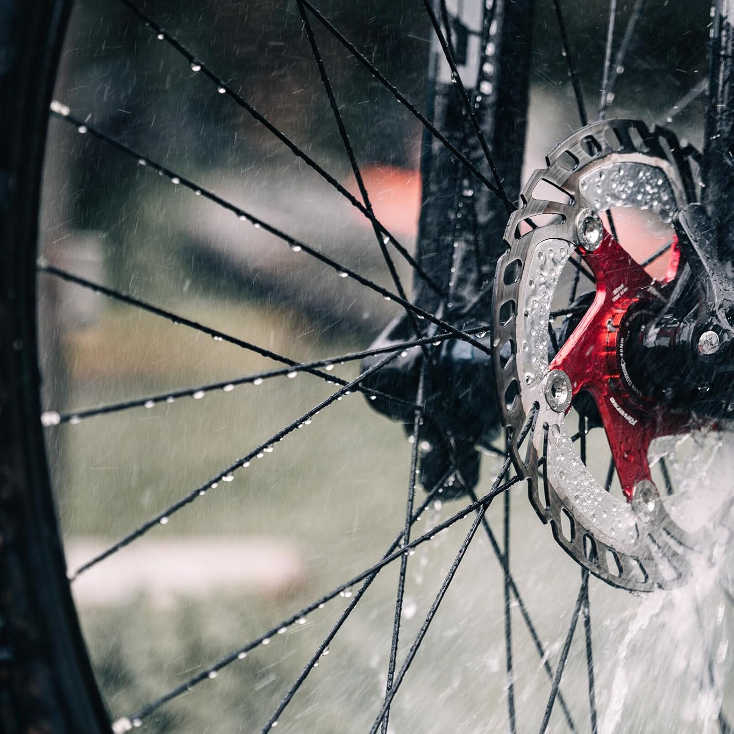 E-Bycco E8 raggi bici elettrica anteriori posteriori