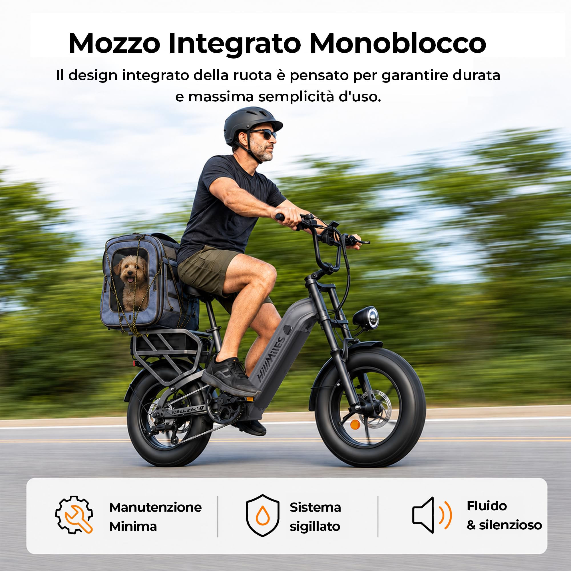 HillMiles MileLink 1 bici elettrica 48V 18Ah 1 batteria