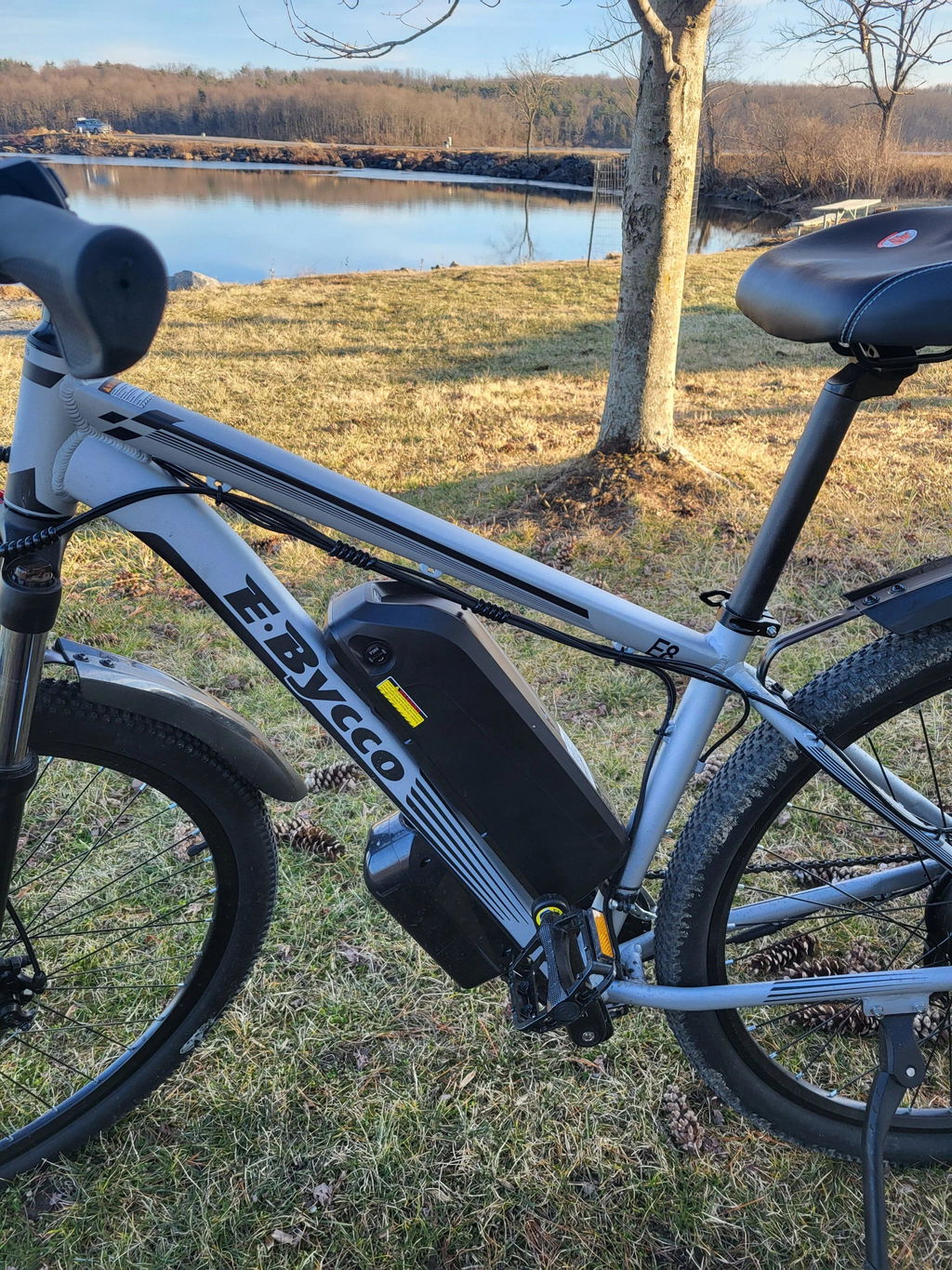 E-BYCCO E8 bici elettrica mtb 29" argento 1000W