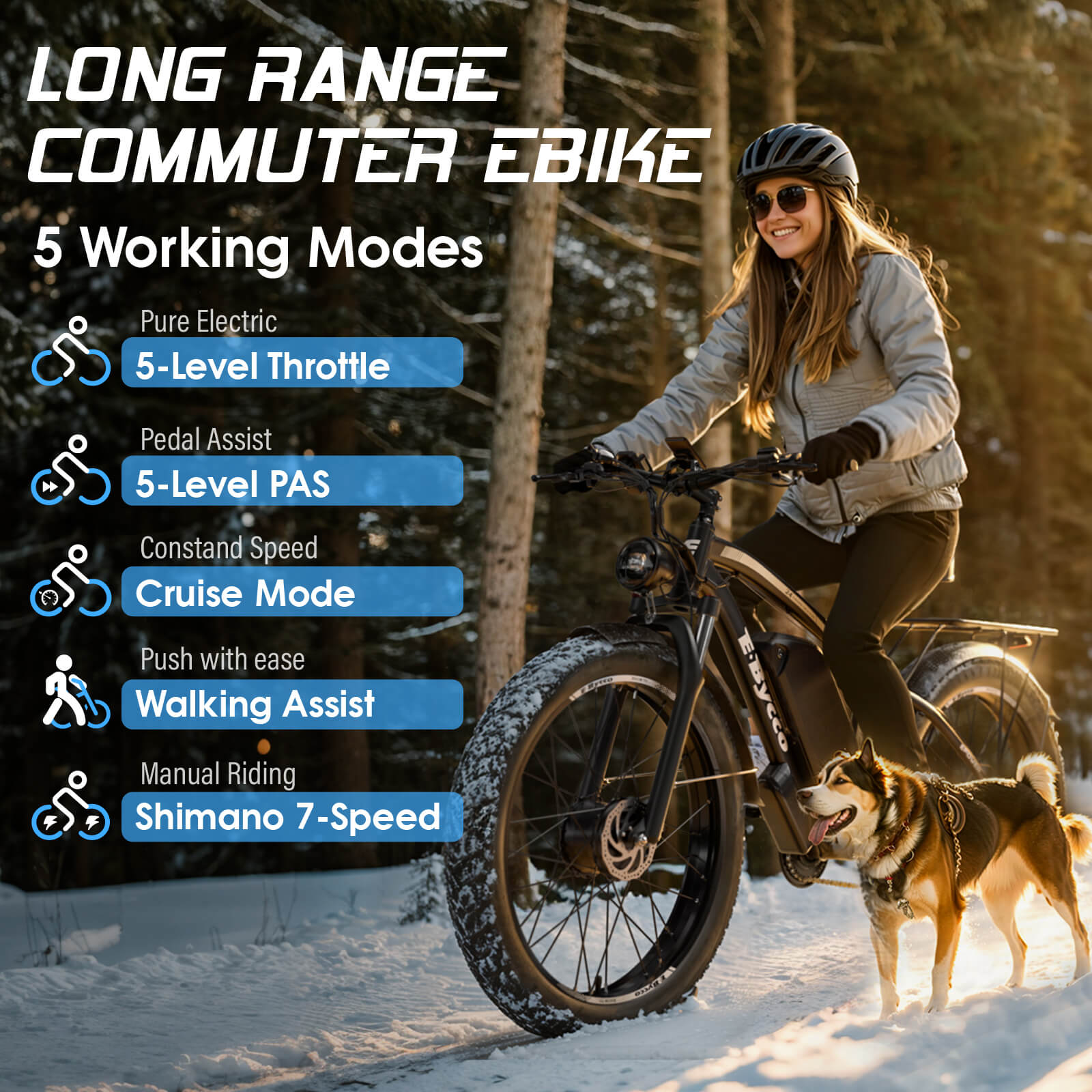 E-BYCCO EB10 Bici Elettrica Ricondizionata 52V 32Ah