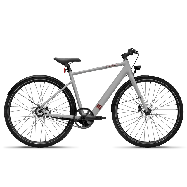 Tenways CGO600 Classic Edition bici elettrica XL Light Grey 70 km