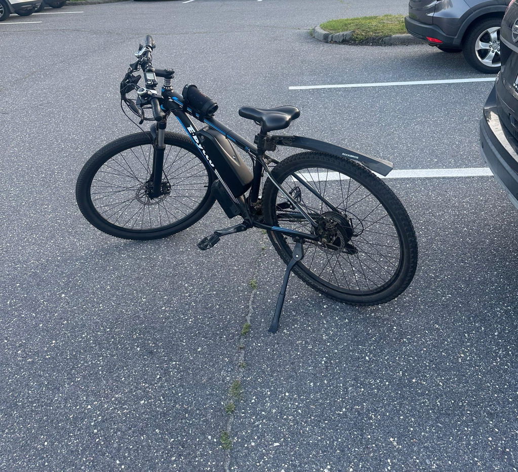 E-BYCCO E8 bici elettrica mtb 29" argento 1000W
